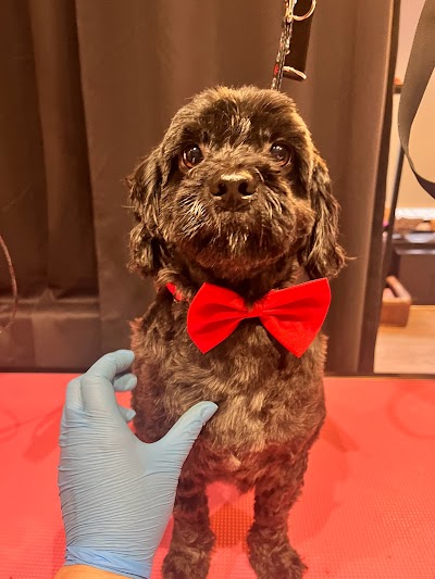 Grooming Van Image