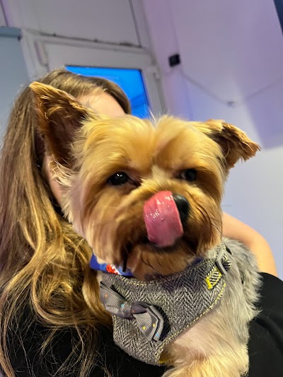 Grooming Van Image