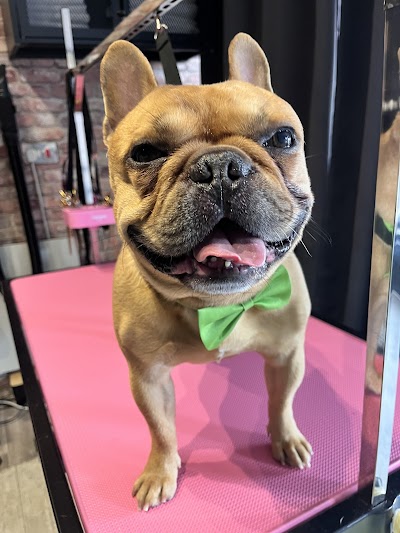 Grooming Van Image
