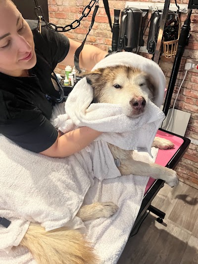 Grooming Van Image