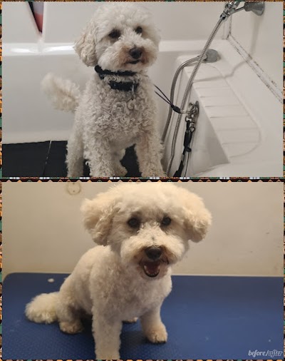 Grooming Van Image
