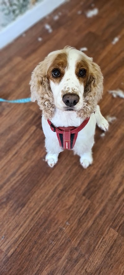 Grooming Van Image
