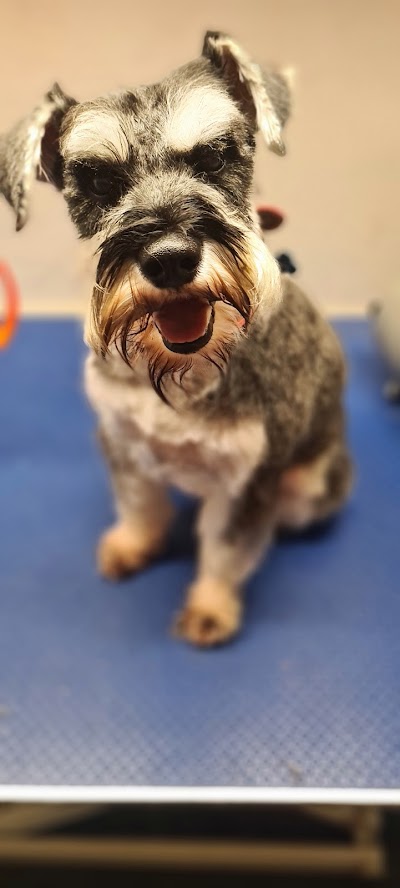 Grooming Van Image