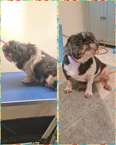 Grooming Van Image