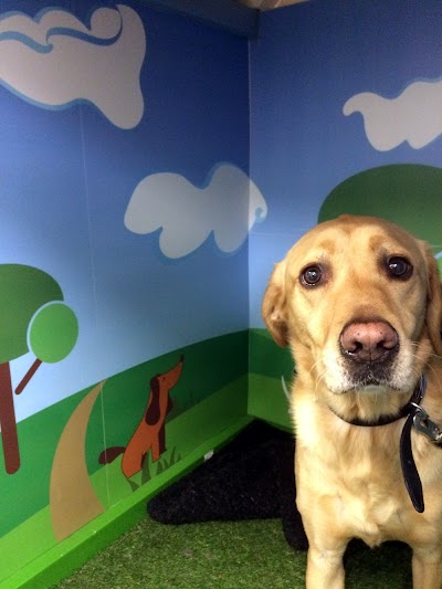 Grooming Van Image