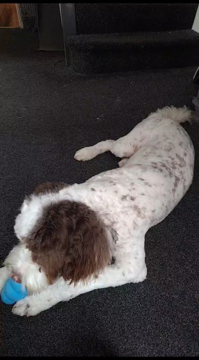 Grooming Van Image