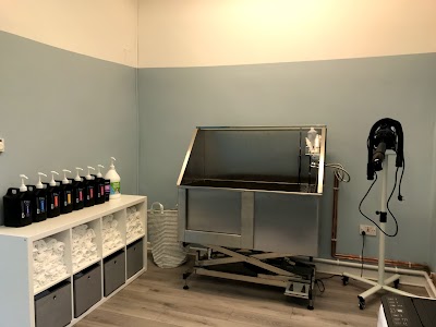 Grooming Van Image