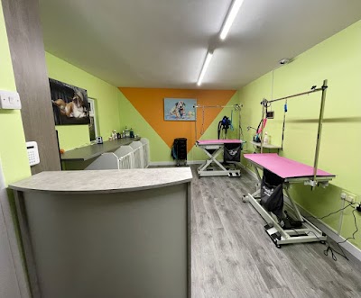 Grooming Van Image