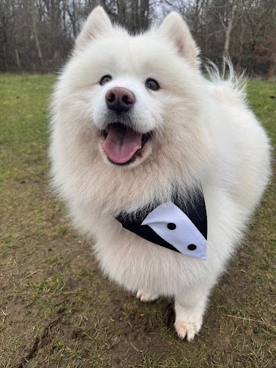 Grooming Van Image