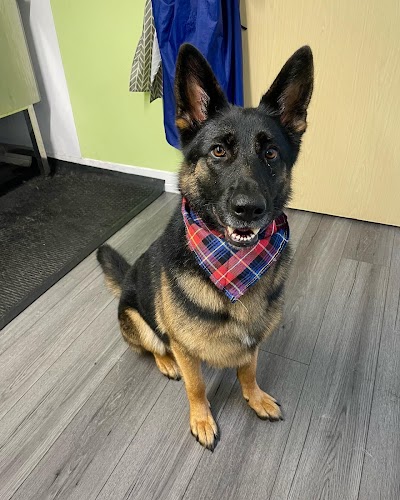 Grooming Van Image