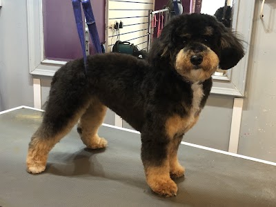 Grooming Van Image