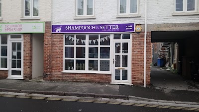 Grooming Van Image