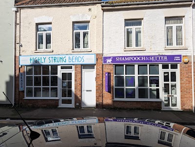 Shampooch & Setter dog grooming