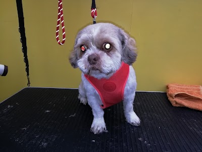 Grooming Van Image