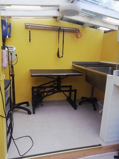 Grooming Van Image