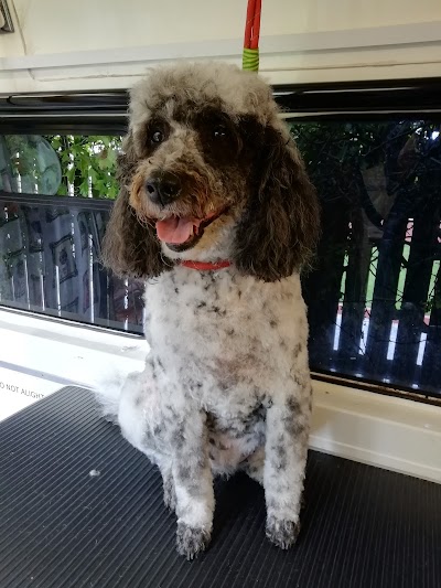 Grooming Van Image