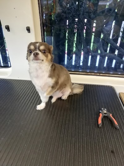 Grooming Van Image