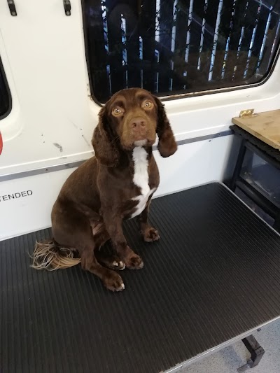 Grooming Van Image