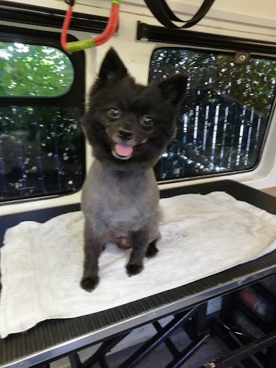 Grooming Van Image
