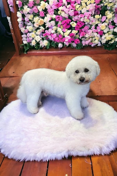 Grooming Van Image