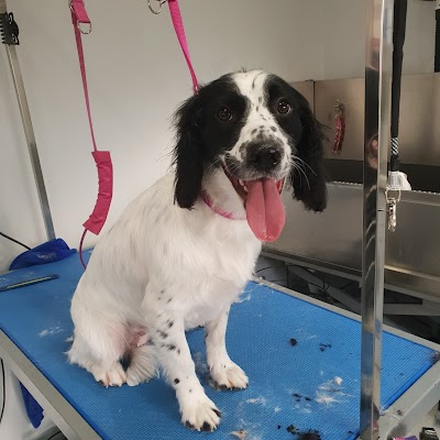 Grooming Van Image