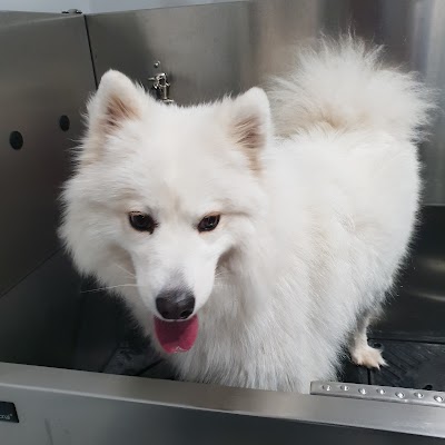 Grooming Van Image