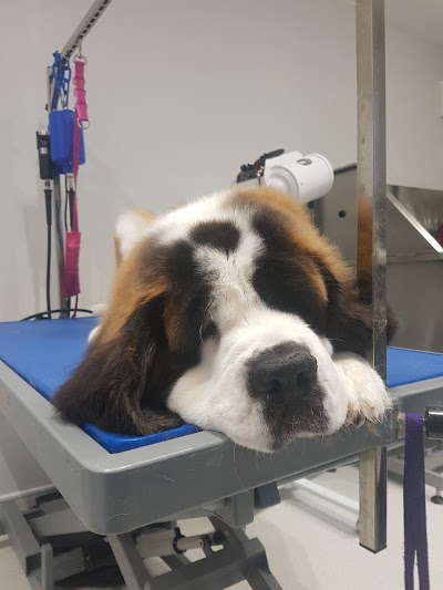 Grooming Van Image