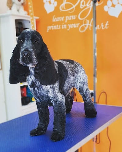 Grooming Van Image