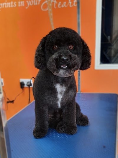Grooming Van Image