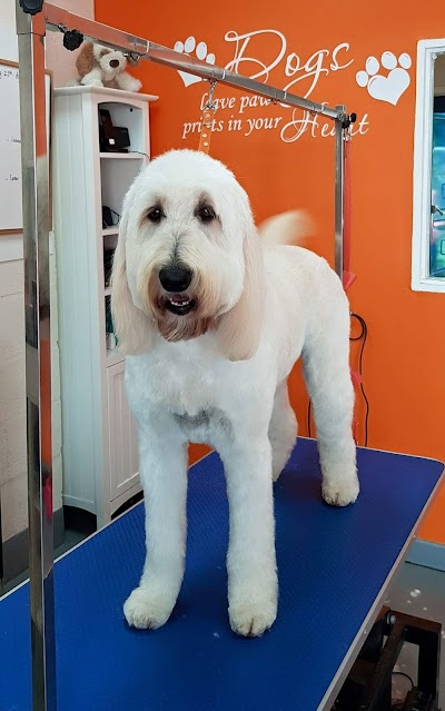 Grooming Van Image