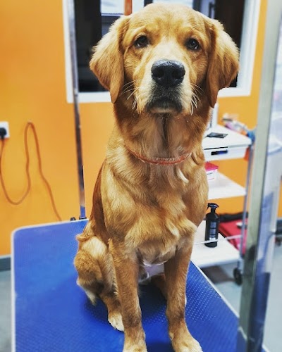 Grooming Van Image