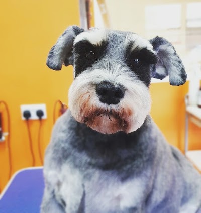 Grooming Van Image