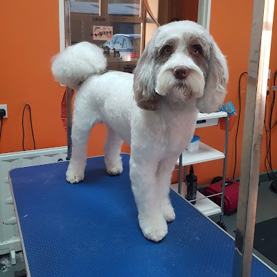 Sophie's Pride & Groom