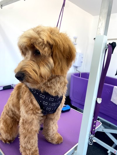 Grooming Van Image