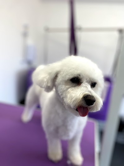 Grooming Van Image