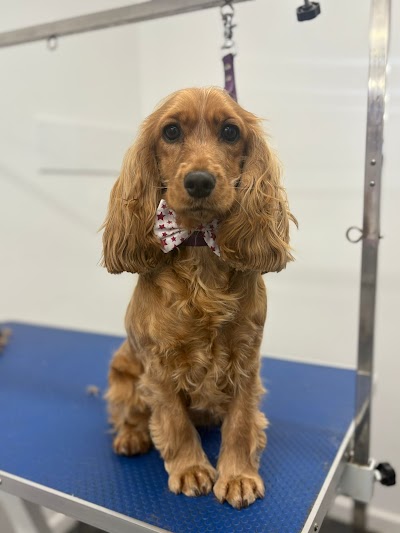 Grooming Van Image