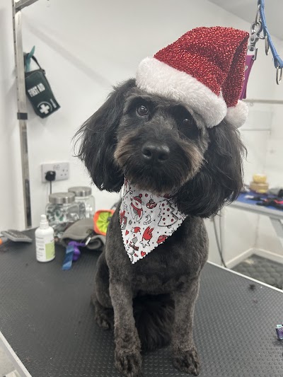 Grooming Van Image