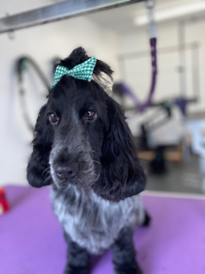 Grooming Van Image