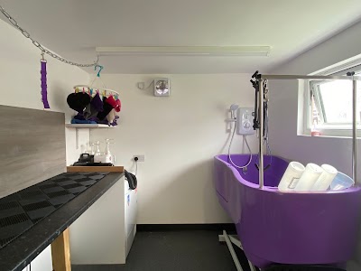 Grooming Van Image