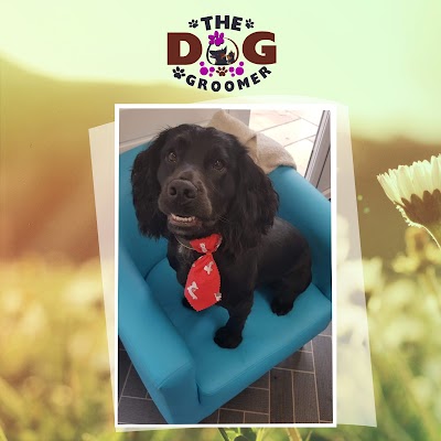 Grooming Van Image
