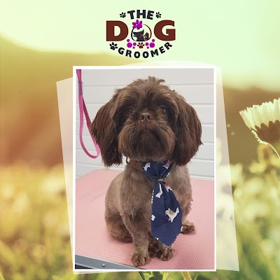 Grooming Van Image