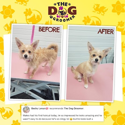 Grooming Van Image