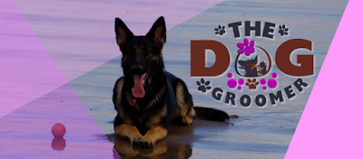 The Dog Groomer