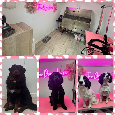 Grooming Van Image