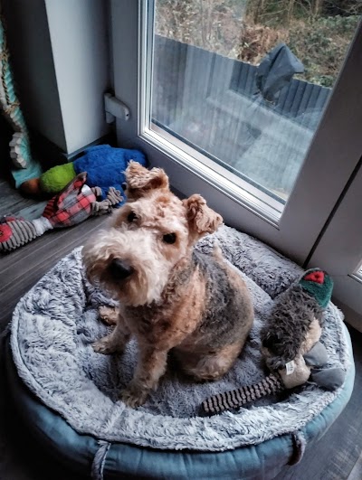 Grooming Van Image