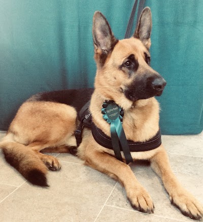 Grooming Van Image