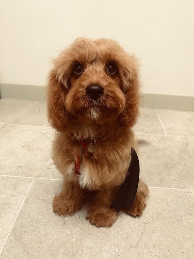 Grooming Van Image