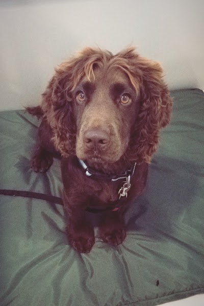Grooming Van Image