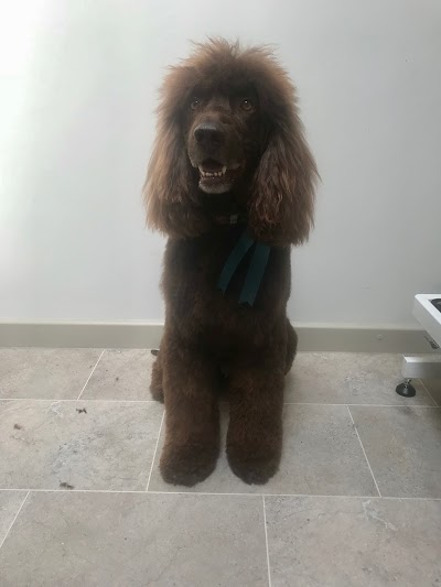 Grooming Van Image