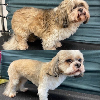 Grooming Van Image